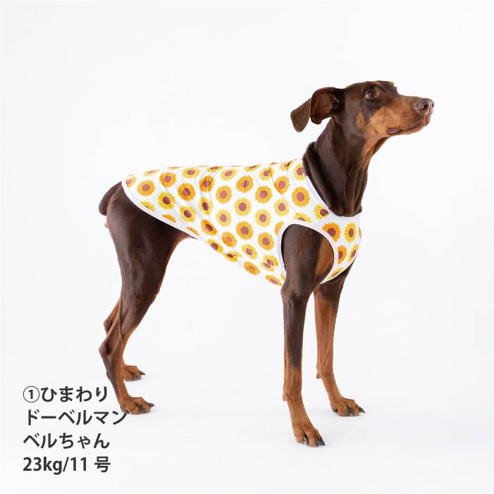 <font size="2">小型～超大型 ダックス 胴長 [全27size展開]</font><br>サマーデザインクールタンクトップ - VERY-PET