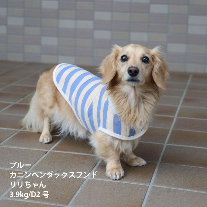 【スタイプレゼント対象商品】小型～超大型 ダックス 胴長 [全26size展開]<br>ボーダーコート - VERY-PET