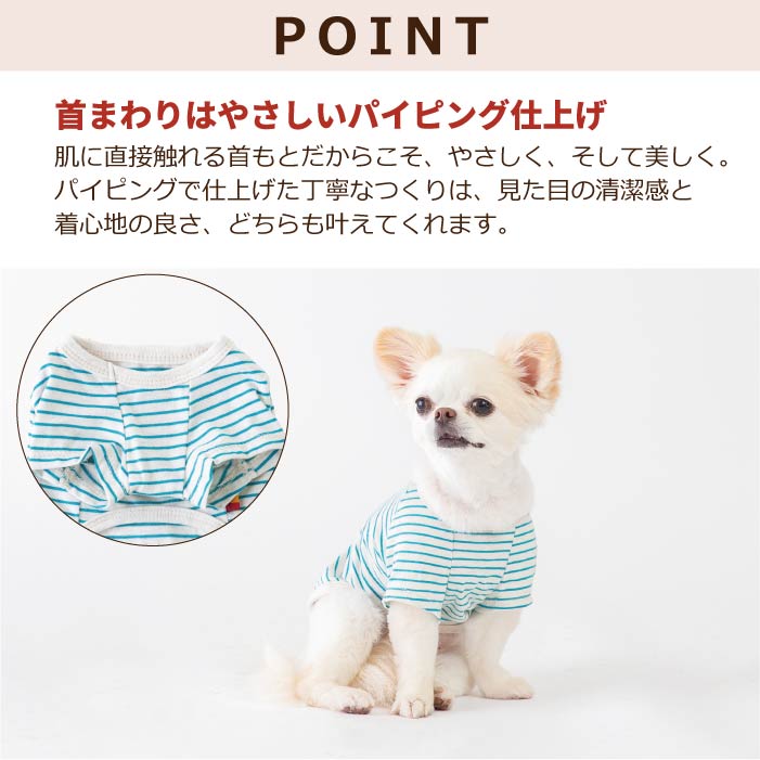 コットンTシャツ　無地・ボーダー【綿100%】大型犬 - VERY-PET