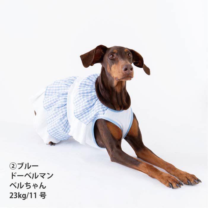 <font size="2">小型 中型 ダックス 胴長 [全14size展開]</font><br>クールフリルワンピース - VERY-PET