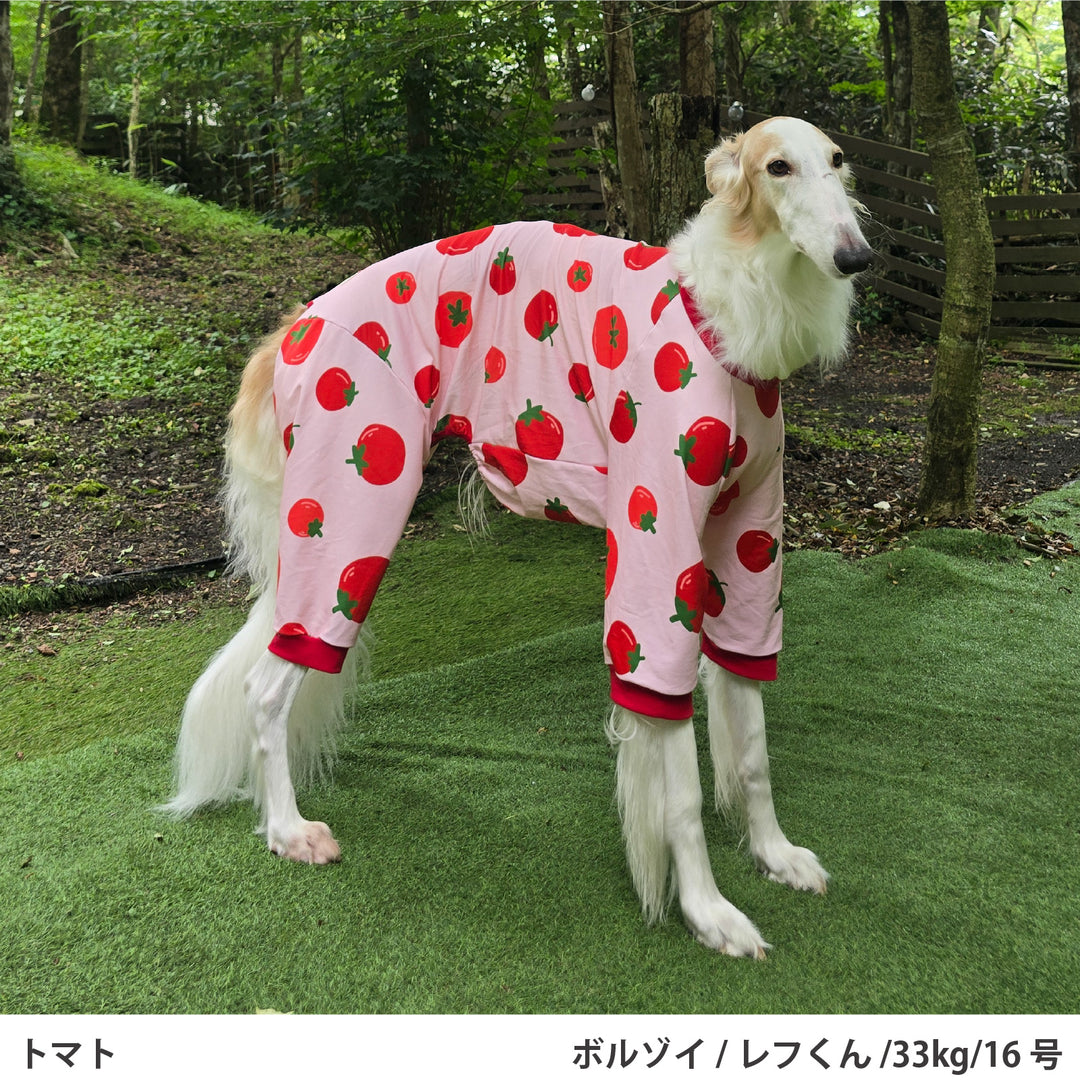 小型～超大型 プリント裏毛ロンパース