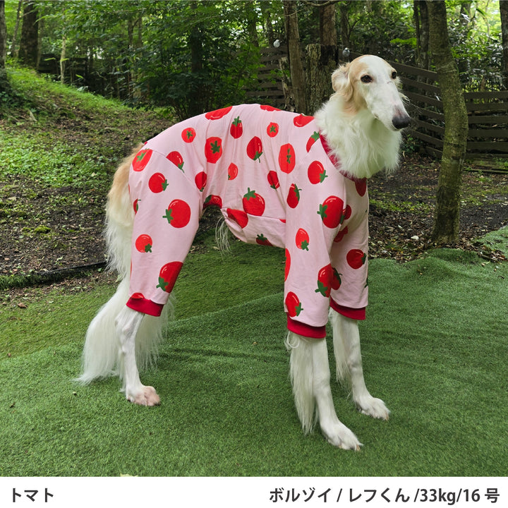 小型～超大型 プリント裏毛ロンパース