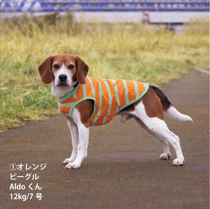 <font size="2">小型～超大型 ダックス 胴長 [全26size展開]</font><br>コットンボーダータンクトップ - VERY-PET