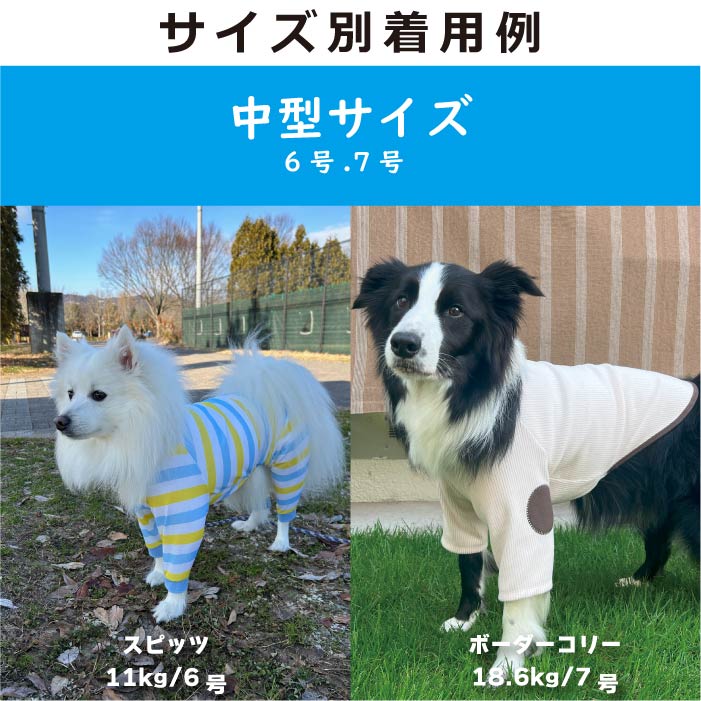 Web限定 犬服 夏福袋 送料無料<br>中型犬 6号のみ 5枚入 ※返品交換不可・在庫限り - VERY-PET