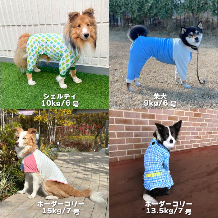 Web限定 犬服 夏福袋 送料無料<br>中型犬 6号のみ 5枚入 ※返品交換不可・在庫限り - VERY-PET