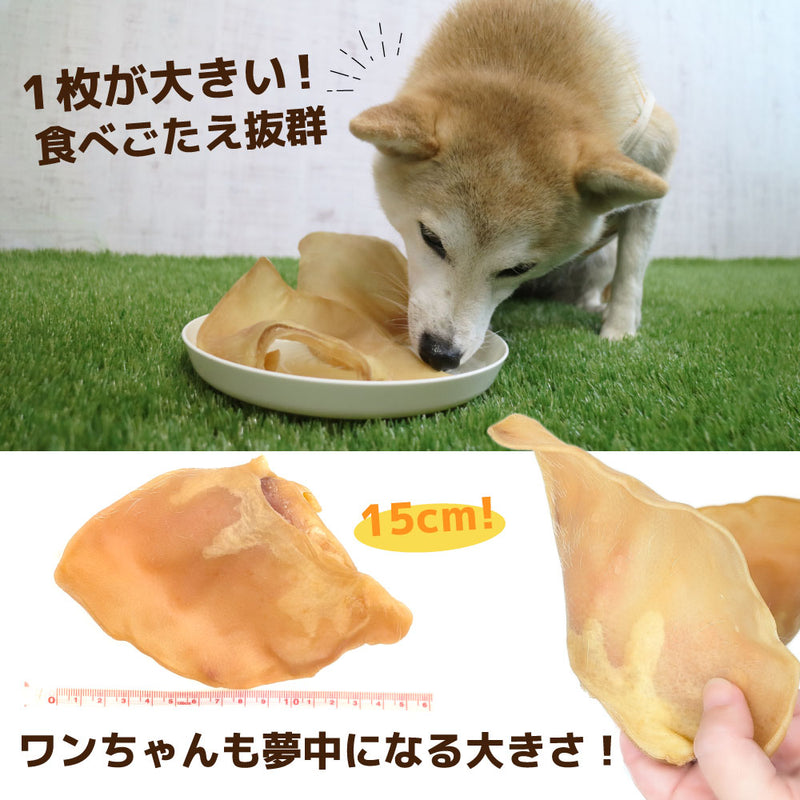犬おやつ　国産豚耳スナック 7枚