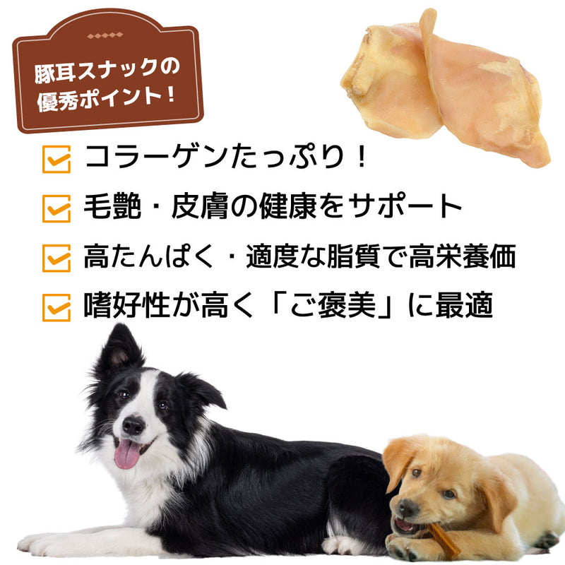 犬おやつ　国産豚耳スナック 7枚