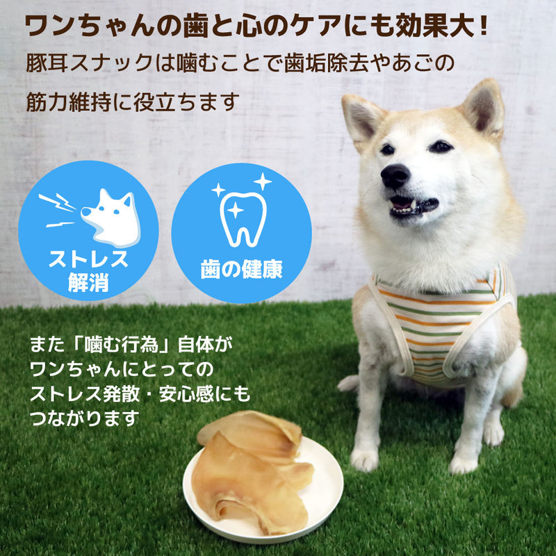 犬おやつ　国産豚耳スナック 7枚