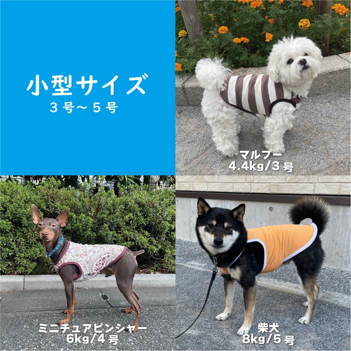 Web限定 犬服 夏福袋 送料無料<br>小型犬8枚入　 ※返品交換不可・在庫限り - VERY-PET