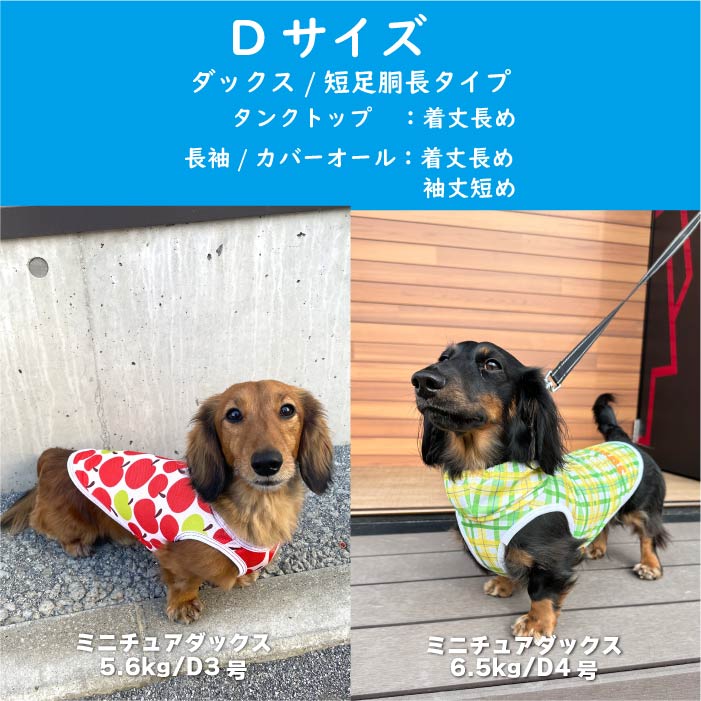 Web限定 犬服 夏福袋 送料無料<br>小型犬8枚入　 ※返品交換不可・在庫限り - VERY-PET