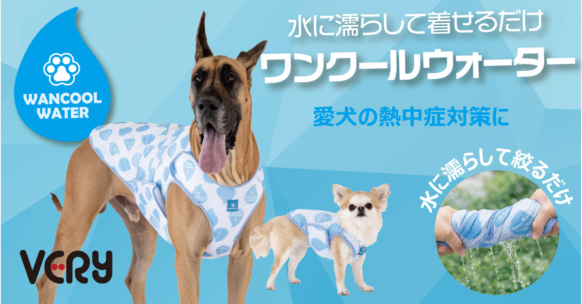 2025秋冬犬服｜小型犬 中型犬 大型犬 超大型犬 対応【スタジャン