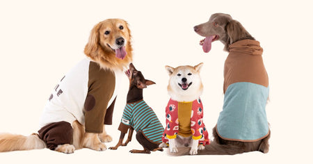 着用ギャラリー