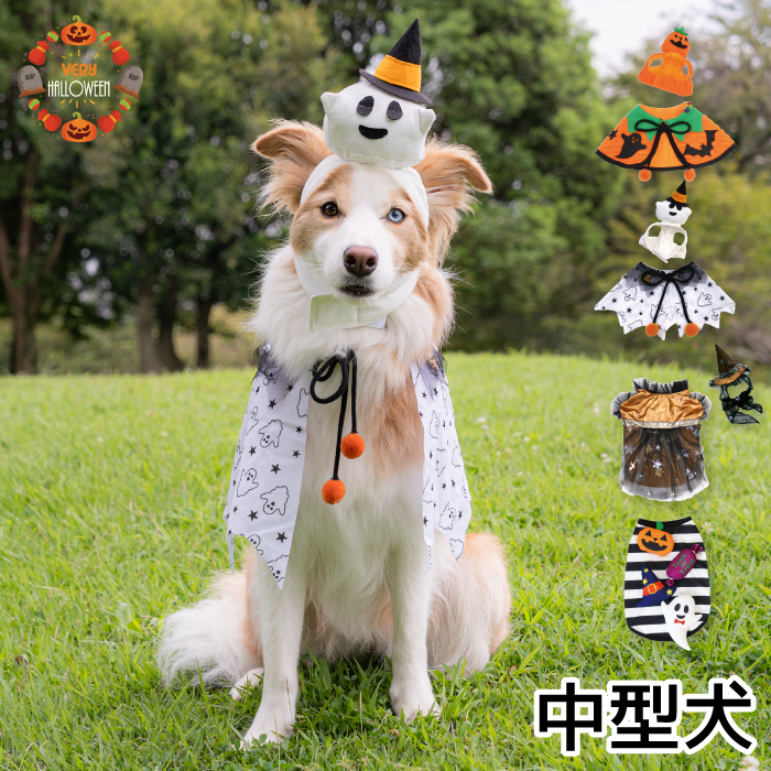 2024年ハロウィンコスチューム 中型犬・フレブル・パグ用 帽子＆ケープ