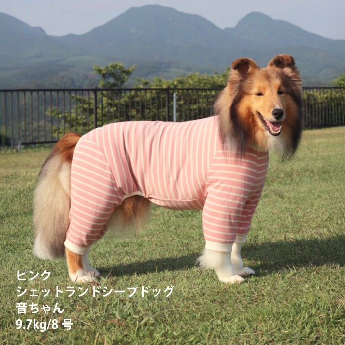 <font size="2">小型～超大型 ダックス 胴長 [全30size展開]</font><br>BORDERS CLUB ロンパース レッド/ピンク - VERY-PET