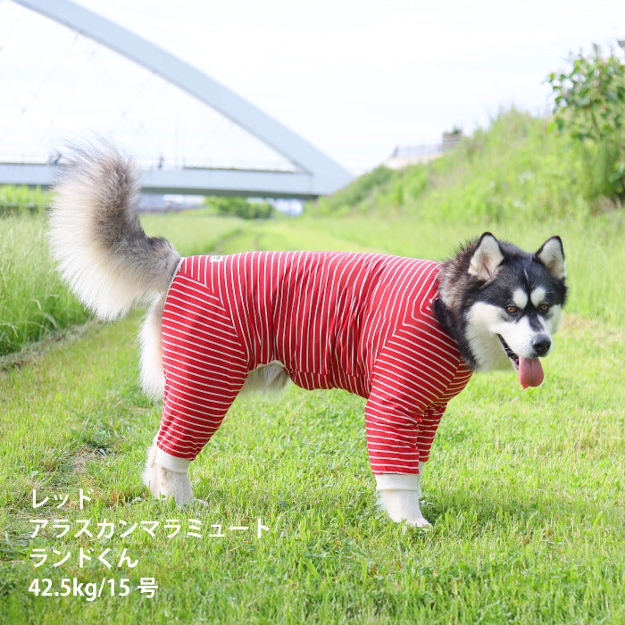 <font size="2">小型～超大型 ダックス 胴長 [全30size展開]</font><br>BORDERS CLUB ロンパース レッド/ピンク - VERY-PET