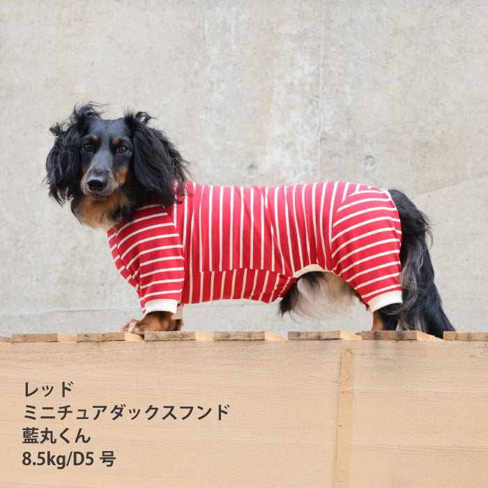 <font size="2">小型～超大型 ダックス 胴長 [全30size展開]</font><br>BORDERS CLUB ロンパース レッド/ピンク - VERY-PET