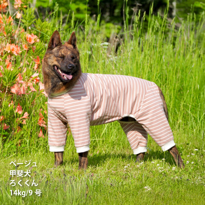<font size="2">小型～超大型 ダックス 胴長 [全30size展開]</font><br>BORDERS CLUB ロンパース ネイビー/ベージュ - VERY-PET