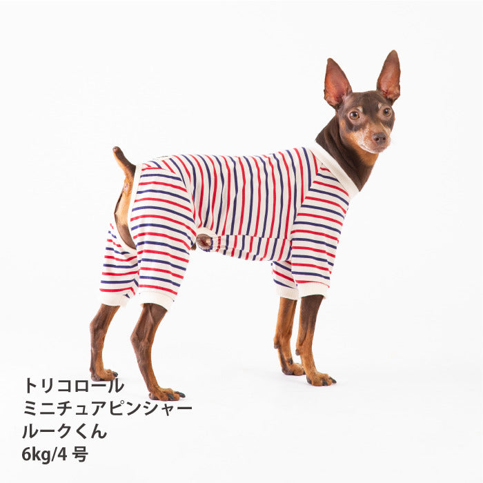 <font size="2">小型～超大型 ダックス 胴長 [全30size展開]</font><br>BORDERS CLUB ロンパース トリコロール/グリーン＆オレンジ - VERY-PET