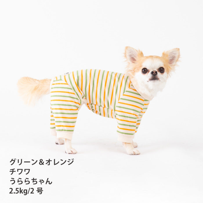 <font size="2">小型～超大型 ダックス 胴長 [全30size展開]</font><br>BORDERS CLUB ロンパース トリコロール/グリーン＆オレンジ - VERY-PET