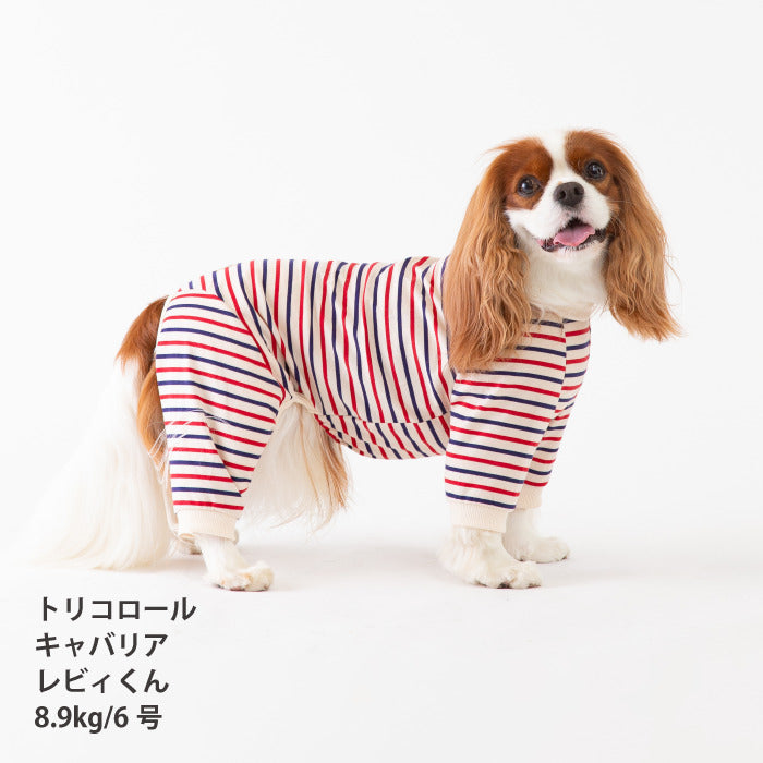 <font size="2">小型～超大型 ダックス 胴長 [全30size展開]</font><br>BORDERS CLUB ロンパース トリコロール/グリーン＆オレンジ - VERY-PET