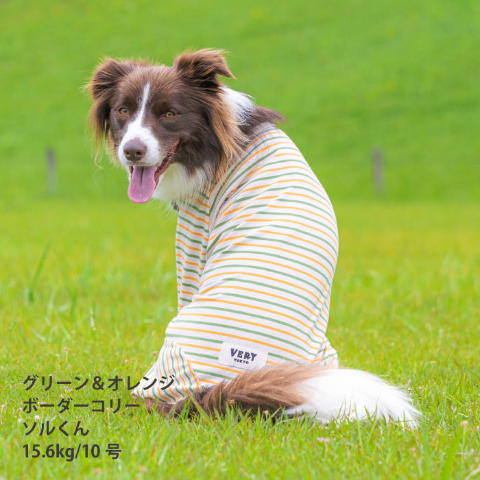 <font size="2">小型～超大型 ダックス 胴長 [全30size展開]</font><br>BORDERS CLUB ロンパース トリコロール/グリーン＆オレンジ - VERY-PET