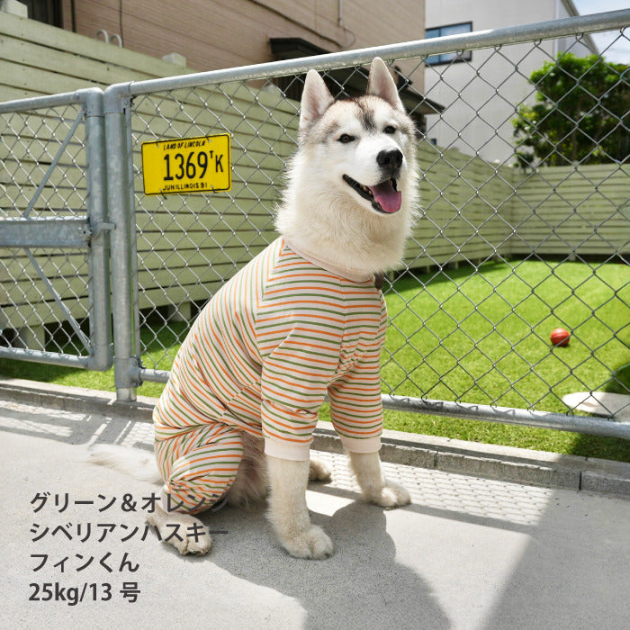 <font size="2">小型～超大型 ダックス 胴長 [全30size展開]</font><br>BORDERS CLUB ロンパース トリコロール/グリーン＆オレンジ - VERY-PET