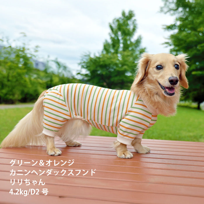 <font size="2">小型～超大型 ダックス 胴長 [全30size展開]</font><br>BORDERS CLUB ロンパース トリコロール/グリーン＆オレンジ - VERY-PET