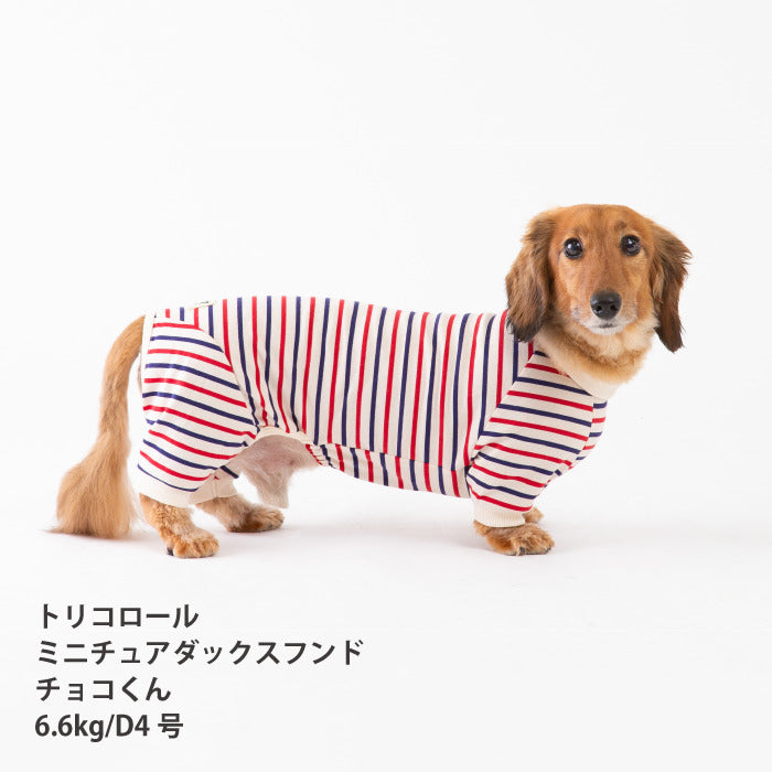 <font size="2">小型～超大型 ダックス 胴長 [全30size展開]</font><br>BORDERS CLUB ロンパース トリコロール/グリーン＆オレンジ - VERY-PET