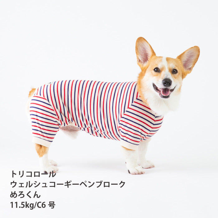 <font size="2">コーギー・バセット [全30size展開]</font><br>BORDERS CLUB ロンパース トリコロール/グリーン＆オレンジ - VERY-PET