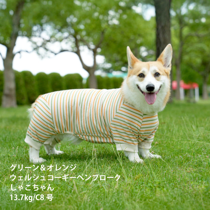 <font size="2">コーギー・バセット [全30size展開]</font><br>BORDERS CLUB ロンパース トリコロール/グリーン＆オレンジ - VERY-PET