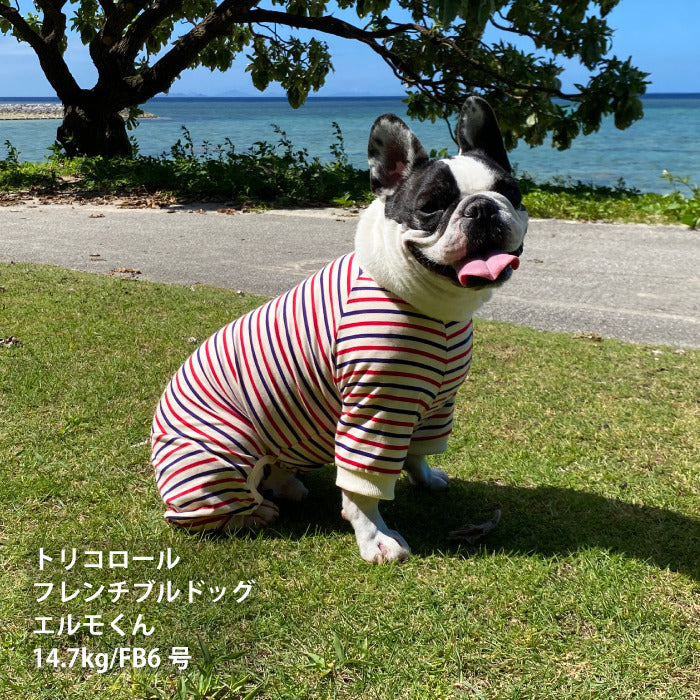 <font size="2">フレブル・パグ [全30size展開]</font><br>BORDERS CLUB ロンパース トリコロール/グリーン＆オレンジ - VERY-PET