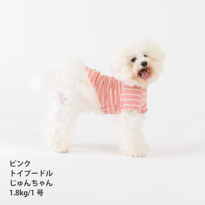 <font size="2">小型～超大型 ダックス 胴長 [全30size展開]</font><br>BORDERS CLUB Tシャツ レッド/ピンク - VERY-PET