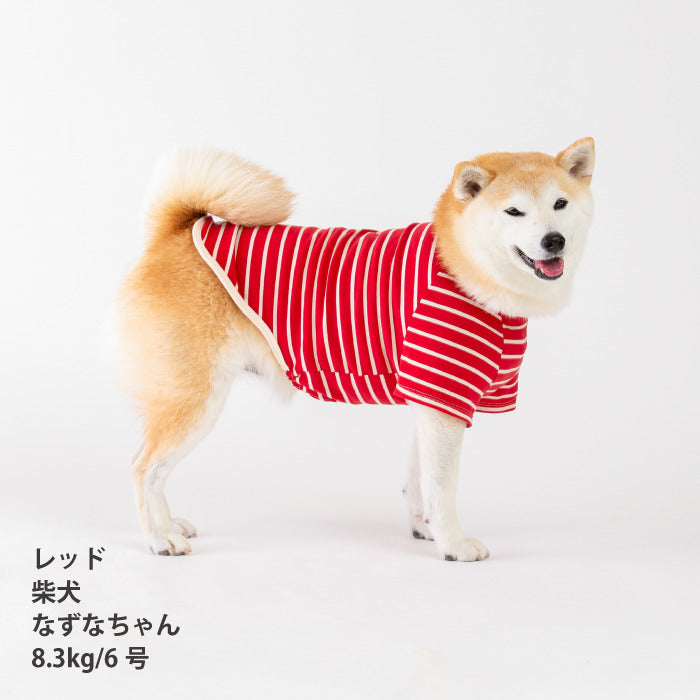 <font size="2">小型～超大型 ダックス 胴長 [全30size展開]</font><br>BORDERS CLUB Tシャツ レッド/ピンク - VERY-PET