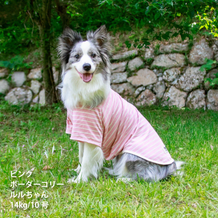 <font size="2">小型～超大型 ダックス 胴長 [全30size展開]</font><br>BORDERS CLUB Tシャツ レッド/ピンク - VERY-PET