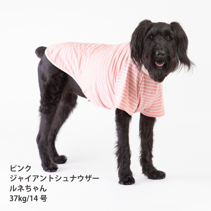 <font size="2">小型～超大型 ダックス 胴長 [全30size展開]</font><br>BORDERS CLUB Tシャツ レッド/ピンク - VERY-PET