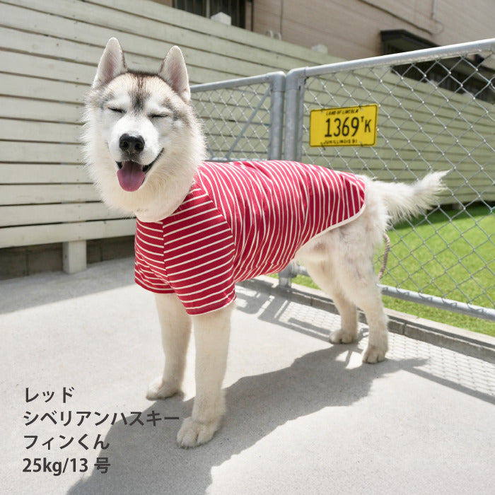 <font size="2">小型～超大型 ダックス 胴長 [全30size展開]</font><br>BORDERS CLUB Tシャツ レッド/ピンク - VERY-PET