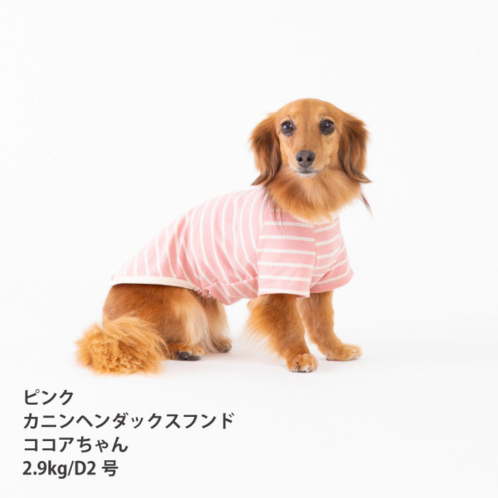 <font size="2">小型～超大型 ダックス 胴長 [全30size展開]</font><br>BORDERS CLUB Tシャツ レッド/ピンク - VERY-PET