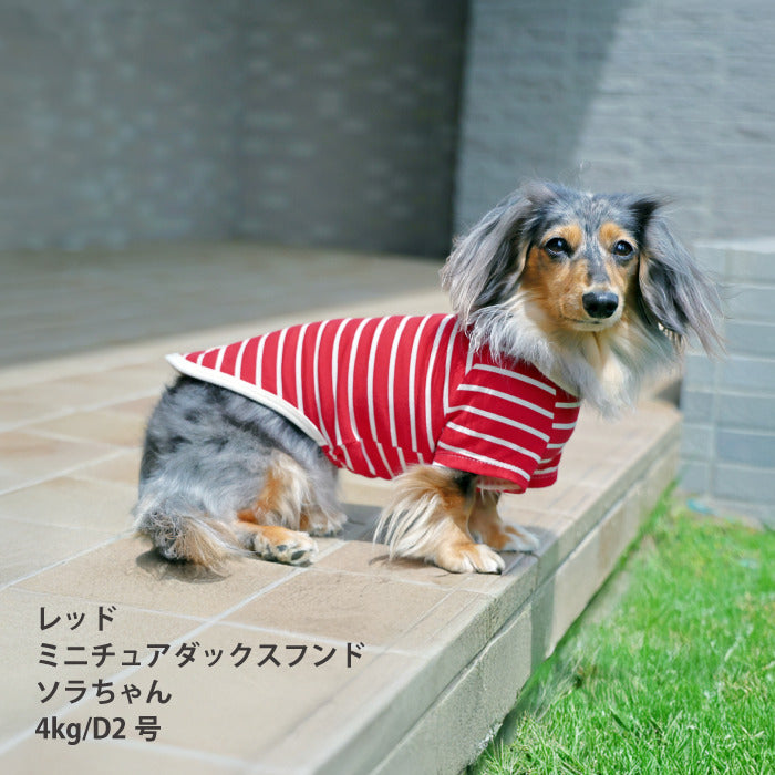 <font size="2">小型～超大型 ダックス 胴長 [全30size展開]</font><br>BORDERS CLUB Tシャツ レッド/ピンク - VERY-PET
