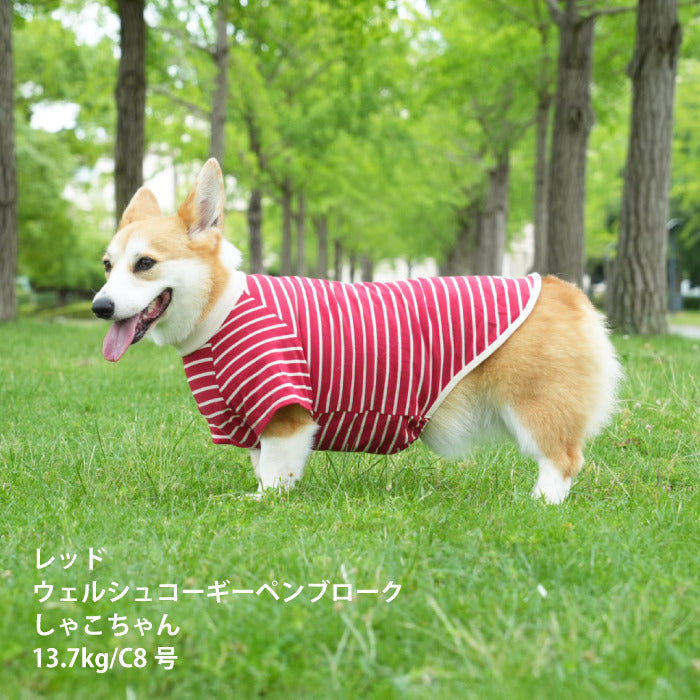 <font size="2">コーギー・バセット [全30size展開]</font><br>BORDERS CLUB Tシャツ レッド/ピンク - VERY-PET