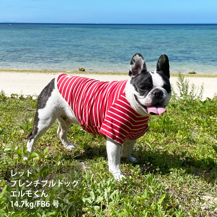 <font size="2">フレブル・パグ [全30size展開]</font><br>BORDERS CLUB Tシャツ レッド/ピンク - VERY-PET