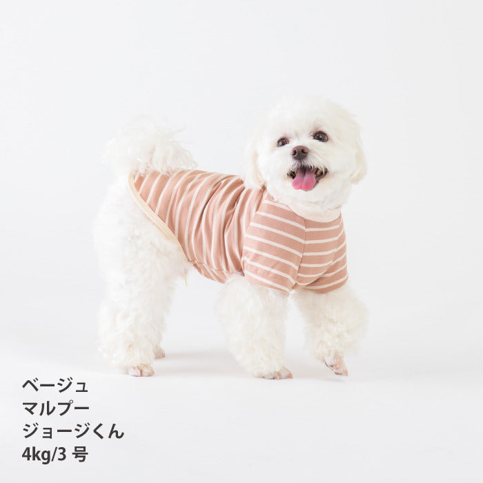 <font size="2">小型～超大型 ダックス 胴長 [全30size展開]</font><br>BORDERS CLUB Tシャツ ネイビー/ベージュ - VERY-PET