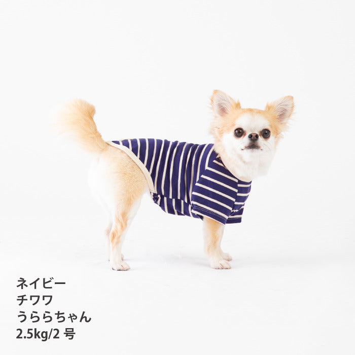 <font size="2">小型～超大型 ダックス 胴長 [全30size展開]</font><br>BORDERS CLUB Tシャツ ネイビー/ベージュ - VERY-PET