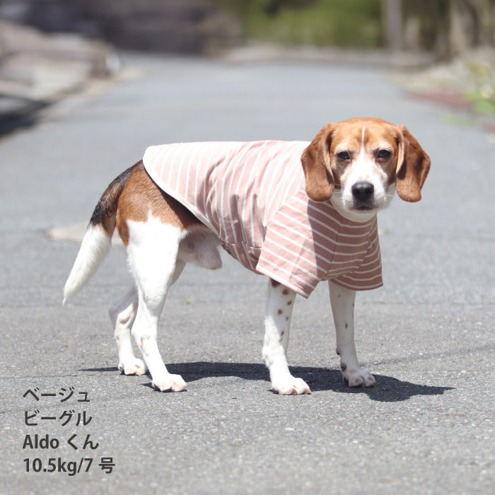 <font size="2">小型～超大型 ダックス 胴長 [全30size展開]</font><br>BORDERS CLUB Tシャツ ネイビー/ベージュ - VERY-PET