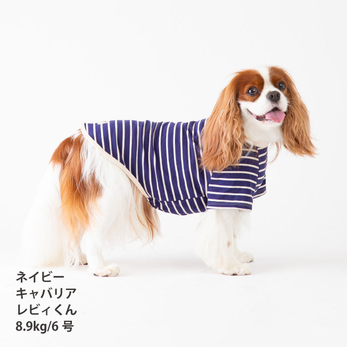 <font size="2">小型～超大型 ダックス 胴長 [全30size展開]</font><br>BORDERS CLUB Tシャツ ネイビー/ベージュ - VERY-PET