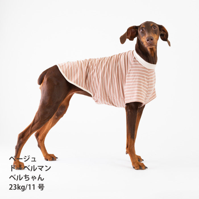<font size="2">小型～超大型 ダックス 胴長 [全30size展開]</font><br>BORDERS CLUB Tシャツ ネイビー/ベージュ - VERY-PET