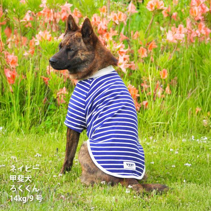 <font size="2">小型～超大型 ダックス 胴長 [全30size展開]</font><br>BORDERS CLUB Tシャツ ネイビー/ベージュ - VERY-PET