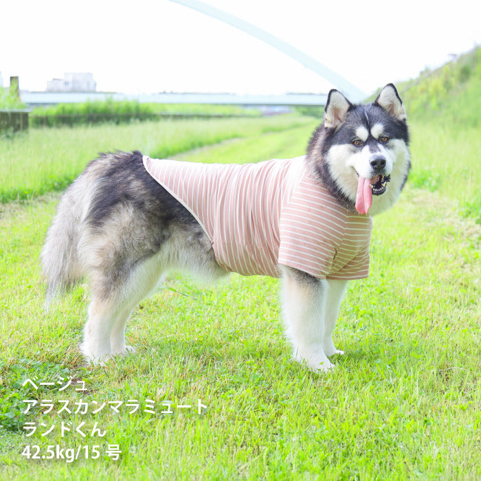 <font size="2">小型～超大型 ダックス 胴長 [全30size展開]</font><br>BORDERS CLUB Tシャツ ネイビー/ベージュ - VERY-PET