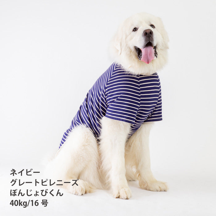 <font size="2">小型～超大型 ダックス 胴長 [全30size展開]</font><br>BORDERS CLUB Tシャツ ネイビー/ベージュ - VERY-PET