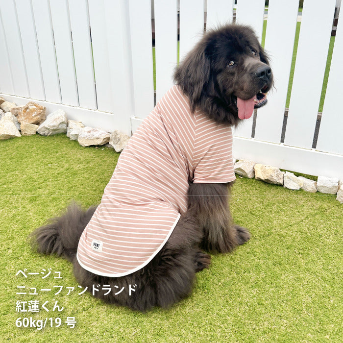 <font size="2">小型～超大型 ダックス 胴長 [全30size展開]</font><br>BORDERS CLUB Tシャツ ネイビー/ベージュ - VERY-PET