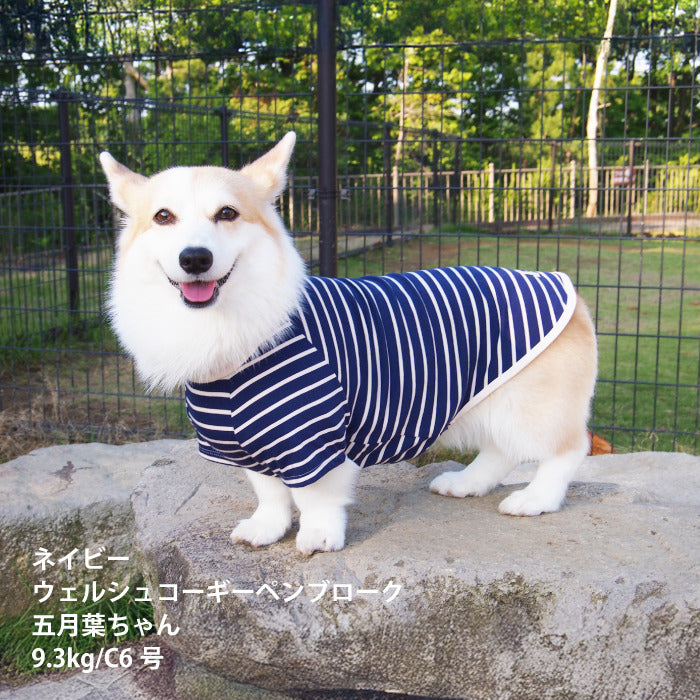 <font size="2">コーギー・バセット [全30size展開]</font><br>BORDERS CLUB Tシャツ ネイビー/ベージュ - VERY-PET
